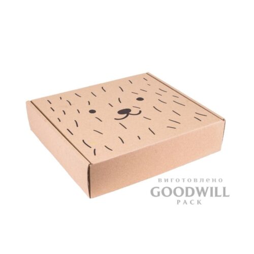 Коробка для дитячого одягу із мікрогофрокартону 25*23*6