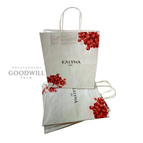 Пакет паперовий з крученими ручками - Пакет бумажный с кручеными ручками