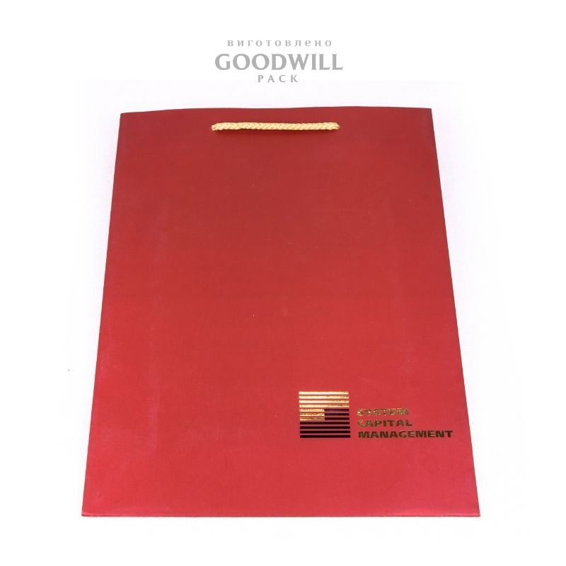 Пакеты картонные корпоративные с логотипом 24*36*9 — изображение 3