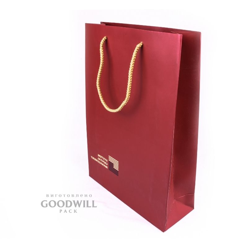 Пакеты картонные корпоративные с логотипом 24*36*9 — изображение 2