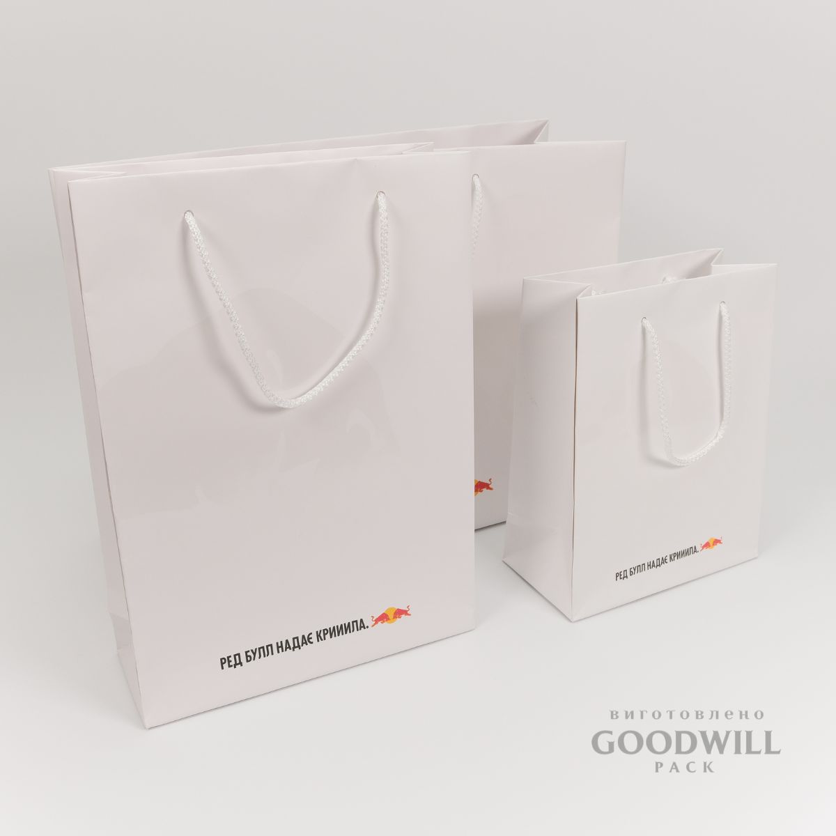 Пакети фірмовані паперові фото