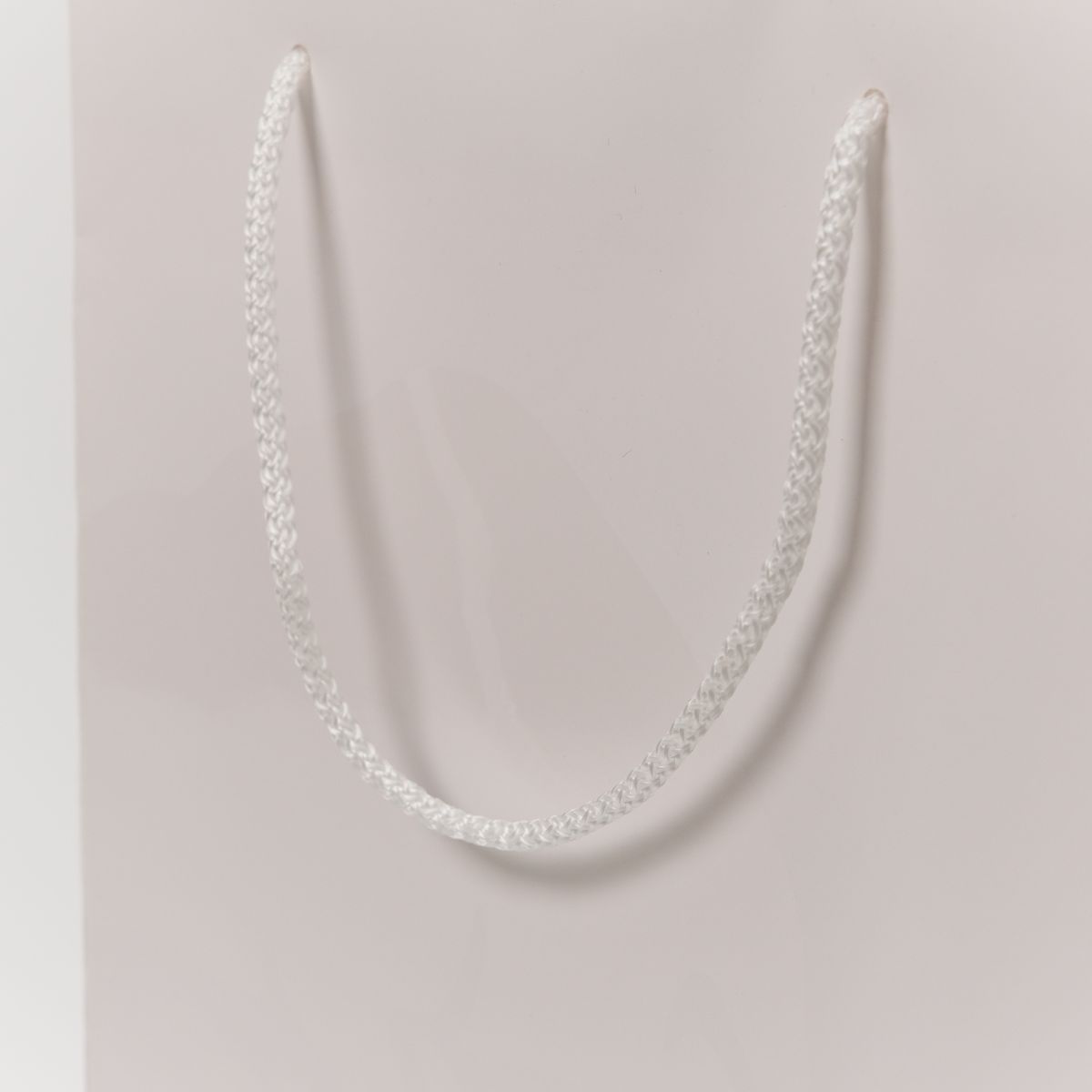 Пакет фірмовий для корпоративних подарунків зображення