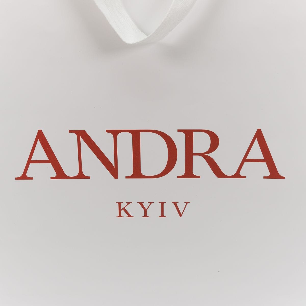 Друк фірмового логотипу на пакеті приклад фото